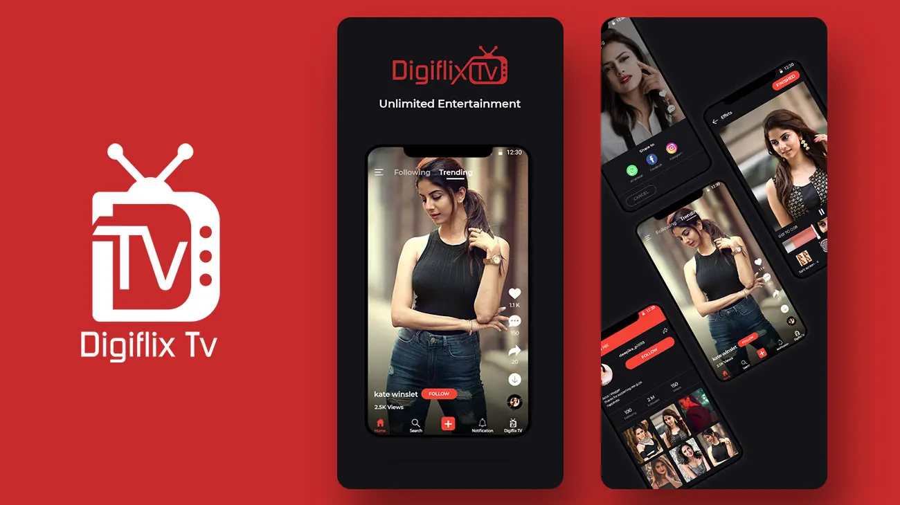 DigiFlix TV