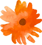 Orange Flower