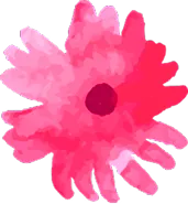 Pink Flower