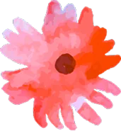 Peach Flower