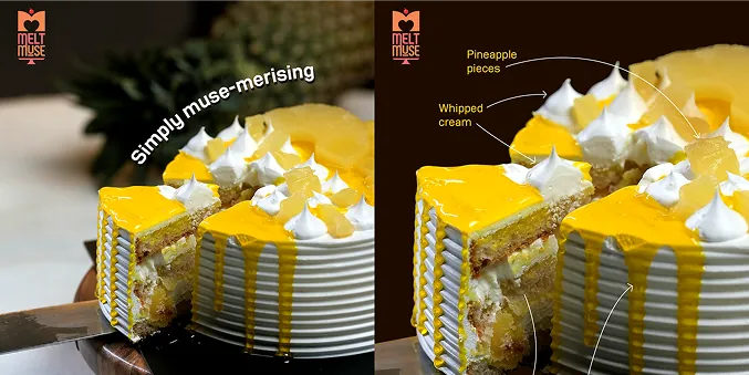 Melt Muse Feature 2