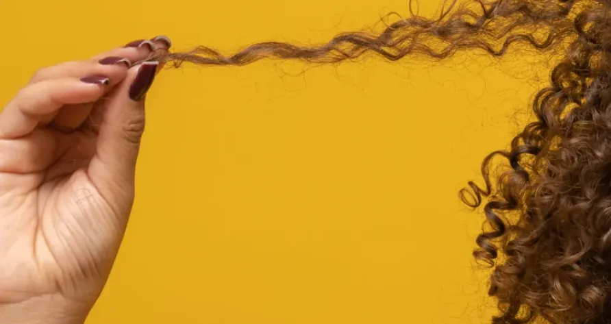 Niche Curly Hair Care Brand Header
