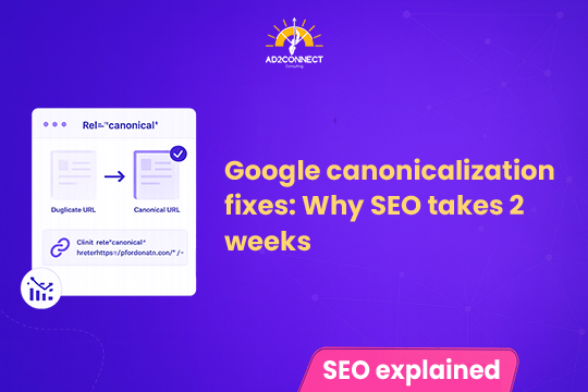 Google Canonicalization Fixes: Why SEO Takes 2 Weeks