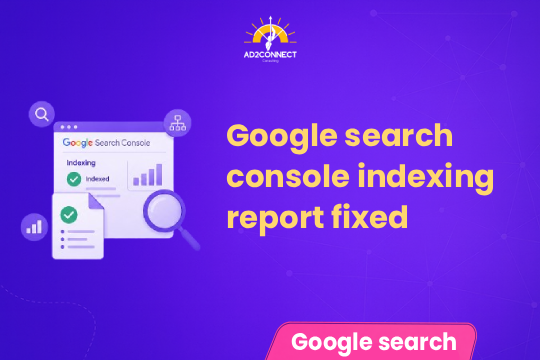 Google Search Console Indexing Report Fixed