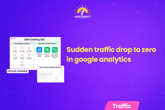 Sudden Traffic Drop to Zero in Google Analytics